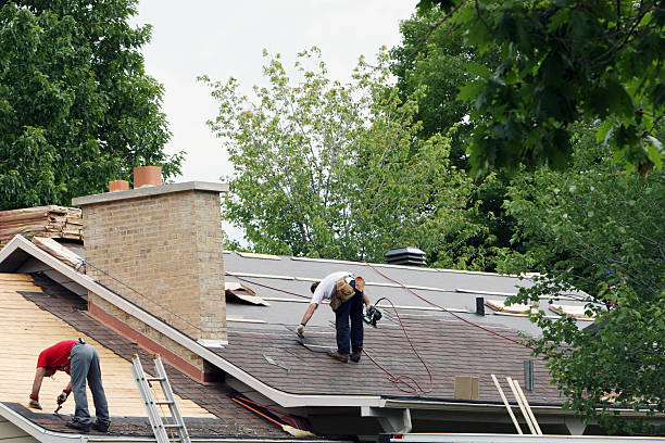 Roof Gutter Cleaning in Highspire, PA