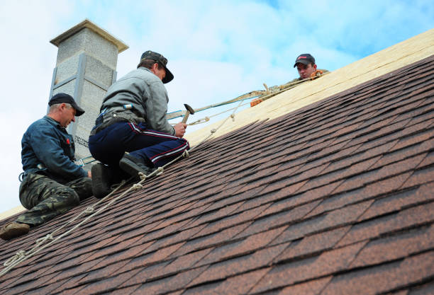 Best Storm Damage Roof Repair  in Highspire, PA